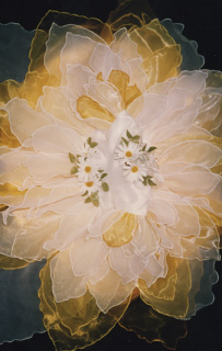 ベビーサイズドレス